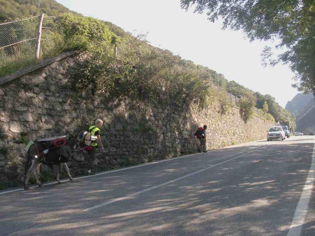 DA FRANCOFORTE ALLA VALSASSINA A PIEDI IN COMPAGNIA DI UN ASINELLO