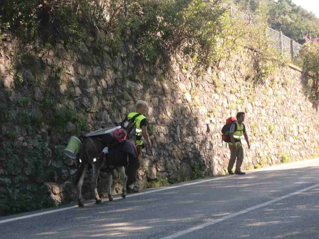 DA FRANCOFORTE ALLA VALSASSINA A PIEDI IN COMPAGNIA DI UN ASINELLO